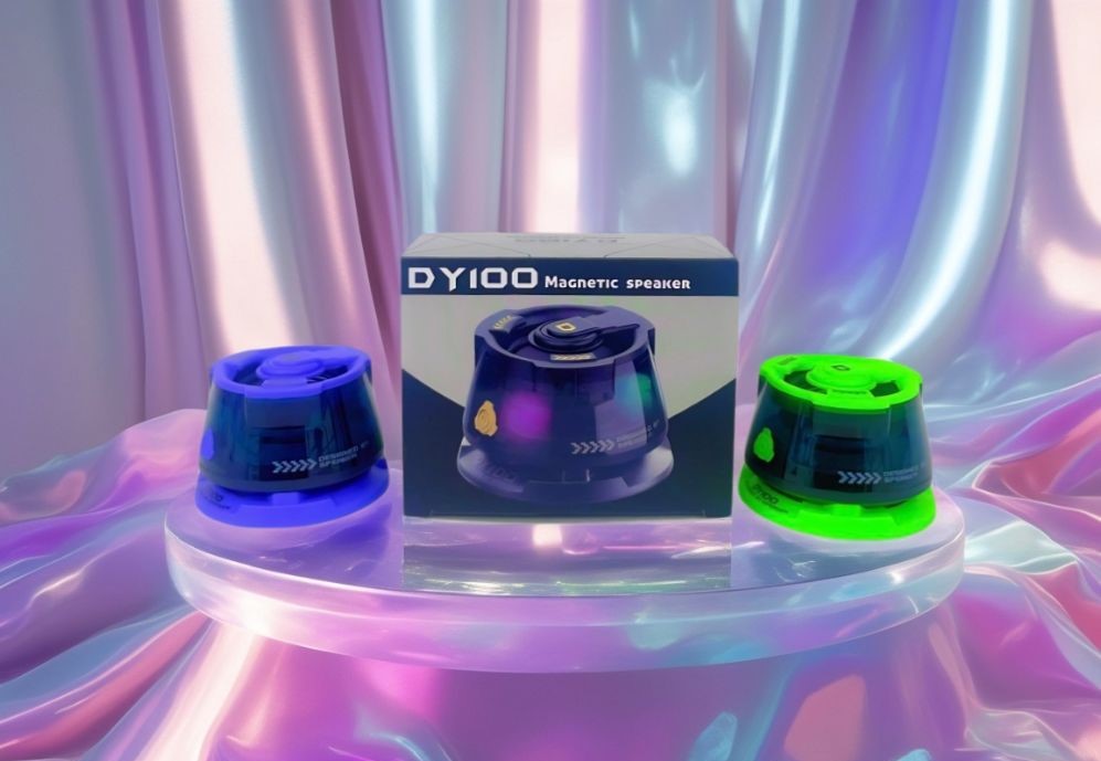 DY100 SPEAKER (6) (4)